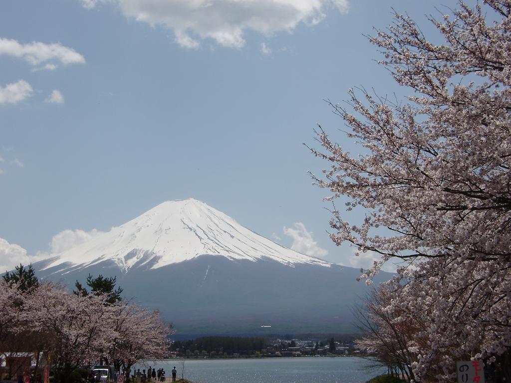 Villa Lupinus Kawaguchiko Fujikawaguchiko Dış mekan fotoğraf