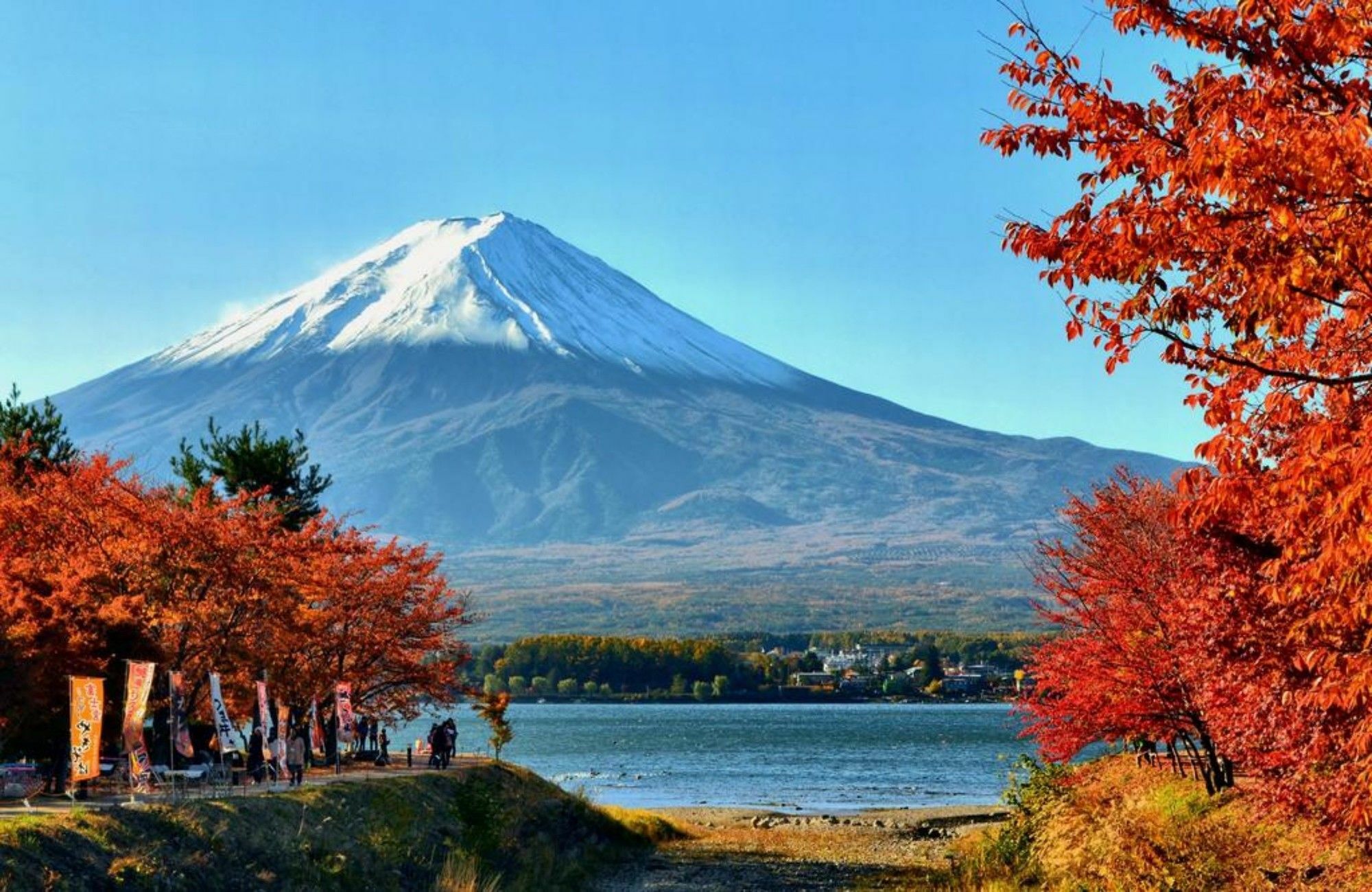 Villa Lupinus Kawaguchiko Fujikawaguchiko Dış mekan fotoğraf