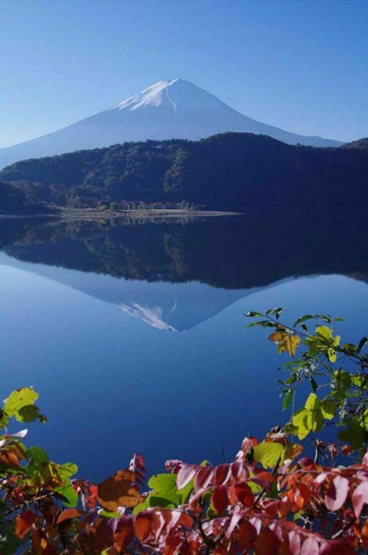 Villa Lupinus Kawaguchiko Fujikawaguchiko Dış mekan fotoğraf