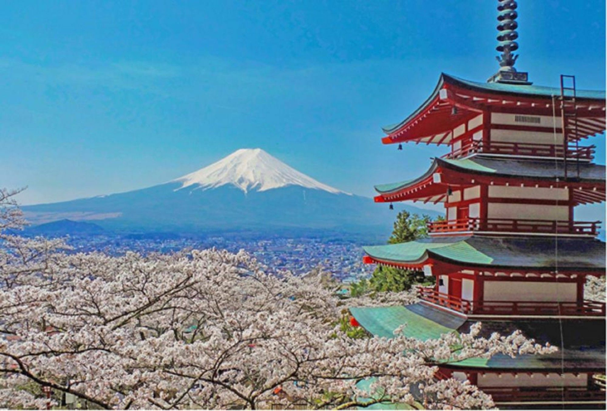 Villa Lupinus Kawaguchiko Fujikawaguchiko Dış mekan fotoğraf