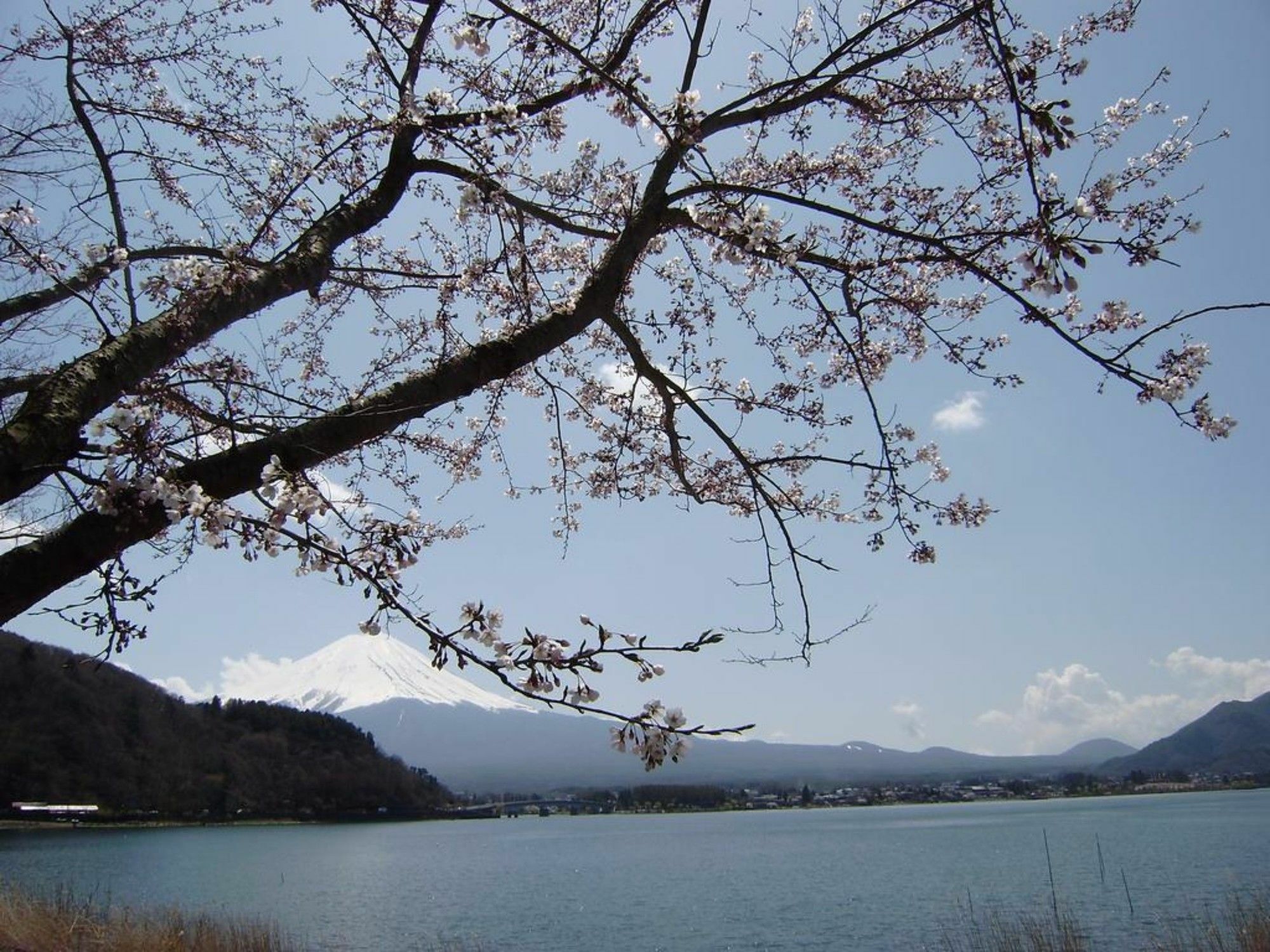 Villa Lupinus Kawaguchiko Fujikawaguchiko Dış mekan fotoğraf